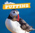 Puffins - 9781508141822 by Amy Austen, 9781508141822