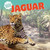 Jaguar - 9781508143055 by Elizabeth Morgan, 9781508143055