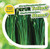 ¿Por qué las plantas tienen tallos? / Why Do Plants Have Stems? (Bilingual Edition) by Celeste Bishop, 9781508147312 ¿Por qué las plantas tienen tallos? / Why Do Plants Have Stems? (Bilingual Edition) by Celeste Bishop, 9781508147312