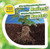 ¿Por qué las plantas tienen raíces? / Why Do Plants Have Roots? by Celeste Bishop, 9781508147428