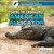 Saving the Endangered American Alligator - 9781680482522 by Jeanne Nagle, 9781680482522