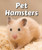 Pet Hamsters by Cecelia H. Brannon, 9780766076013