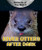 River Otters After Dark by Heather Moore Niver, 9780766077027
