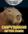 Capybaras After Dark by Heather Moore Niver, 9780766077065