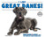 I Like Great Danes! - 9780766077928 by Linda Bozzo, 9780766077928