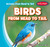 Birds from Head to Tail - 9781482445350 by Reese Archer, 9781482445350