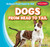 Dogs from Head to Tail by Cole Mair, 9781482445374
