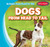Dogs from Head to Tail by Cole Mair, 9781482445374
