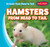 Hamsters from Head to Tail - 9781482445442 by Don LeChamp, 9781482445442