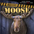Massive Moose - 9781482449198 by Mary Molly Shea, 9781482449198