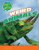 Weird Animals by Steve Parker, 9781482449983
