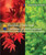 Deciduous Trees and Coniferous Trees Explained by Alicia Z. Klepeis, 9781502617439