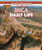 Ancient Inca Daily Life - 9781499419368 by Heather Moore Niver, 9781499419368