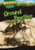 Ground Beetles - 9781499420562 by Erin Long, 9781499420562