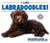 I Like Labradoodles! - 9780766081710 by Linda Bozzo, 9780766081710