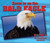Zoom in on the Bald Eagle by Heather Moore Niver, 9780766084421