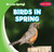 Birds in Spring - 9781482454871 by Lorne Henshaw, 9781482454871