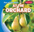 At the Orchard by Bruce Esseltine, 9781482455281