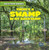 There's a Swamp in My Backyard! by Seth Lynch, 9781482455717