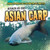 Attack of the Asian Carp by Santana Hunt, 9781482456554