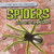 Spiders Lived with the Dinosaurs! by Tanya Dellaccio, 9781482456813