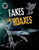 Fakes and Hoaxes - 9781482460063 by Sarah Levete