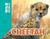Cheetah - 9781499482041 by Meredith Costain, Mick Posen, 9781499482041