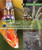 Insects and Arachnids Explained - 9781502622662 by Laura Sullivan, 9781502622662
