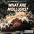 What Are Mollusks? - 9781508103875 by Sarah Machajewski, 9781508103875