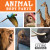 Animal Body Parts by Steffi Cavell-Clarke, 9781534520578