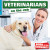 Veterinarians on the Job by Anne Forest, 9781534521490