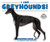 I Like Greyhounds! by Linda Bozzo, 9780766086401