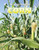 Corn - 9780766088245 by Cecelia H. Brannon