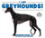 I Like Greyhounds! - 9780766088757 by Linda Bozzo, 9780766088757