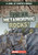 What Are Metamorphic Rocks? - 9781482462487 by Kristen Rajczak Nelson, 9781482462487