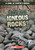 What Are Igneous Rocks? - 9781482462548 by Kristen Rajczak Nelson, 9781482462548