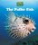 The Puffer Fish - 9781502625953 by Alicia Z. Klepeis, 9781502625953