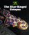 The Blue-Ringed Octopus - 9781502625984 by Laura Sullivan, 9781502625984