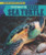 The Return of the Green Sea Turtle - 9781508156178 by Melissa Raé Shofner, 9781508156178