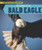 The Return of the Bald Eagle - 9781508156192 by Heather Moore Niver