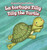 La tortuga Tilly / Tilly the Turtle (Bilingual Edition) by Jackie Heckt, Rossana Zúñiga, 9781508156871