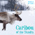 Caribou of the Tundra by Amy B. Rogers, 9781534522237