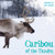Caribou of the Tundra - 9781534522299 by Amy B. Rogers