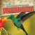 A Bird Watcher's Guide to Hummingbirds - 9781538203170 by Aife Arnim