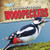 A Bird Watcher's Guide to Woodpeckers by Grace Elora, 9781538203316