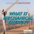 What Is Mechanical Energy? - 9781680487114 by Kristina Lyn Heitkamp, 9781680487114