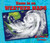 Zoom in on Weather Maps by Kathy Furgang, 9780766092242