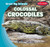 Colossal Crocodiles - 9781538208977 by Francis MacIntire, 9781538208977