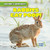 Rabbits Eat Poop! - 9781538209516 by Roberto Betances, 9781538209516