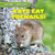 Rats Eat Toenails! by Roberto Betances, 9781538209530